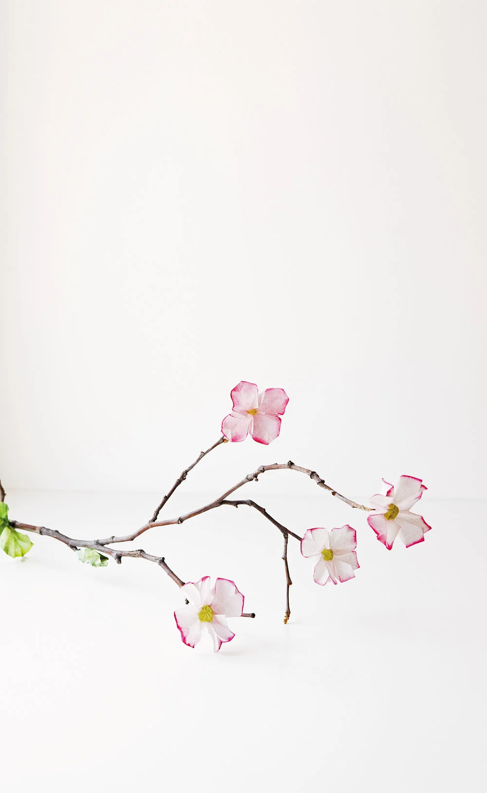 modernpapercrafts_p40.jpg