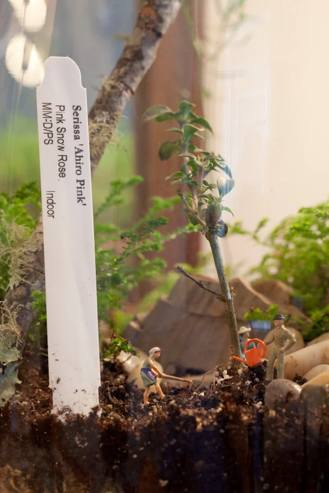 20110511_mg_2819.jpg