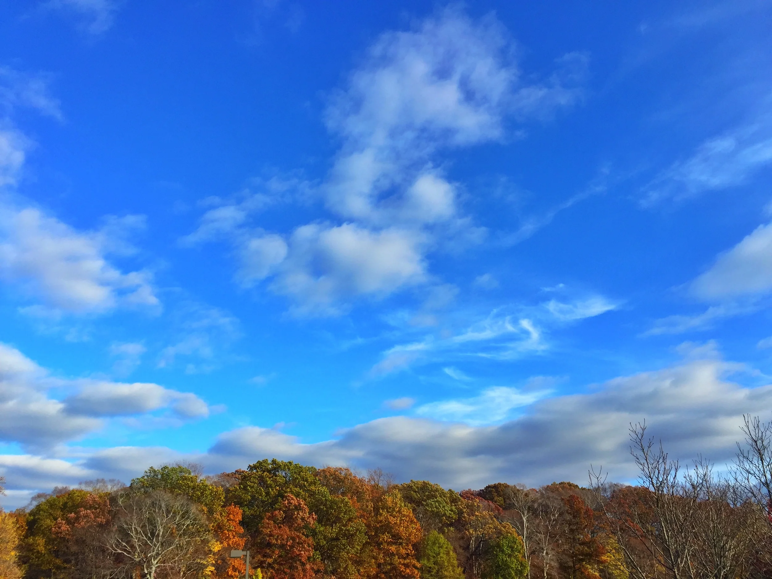 What do you believe?