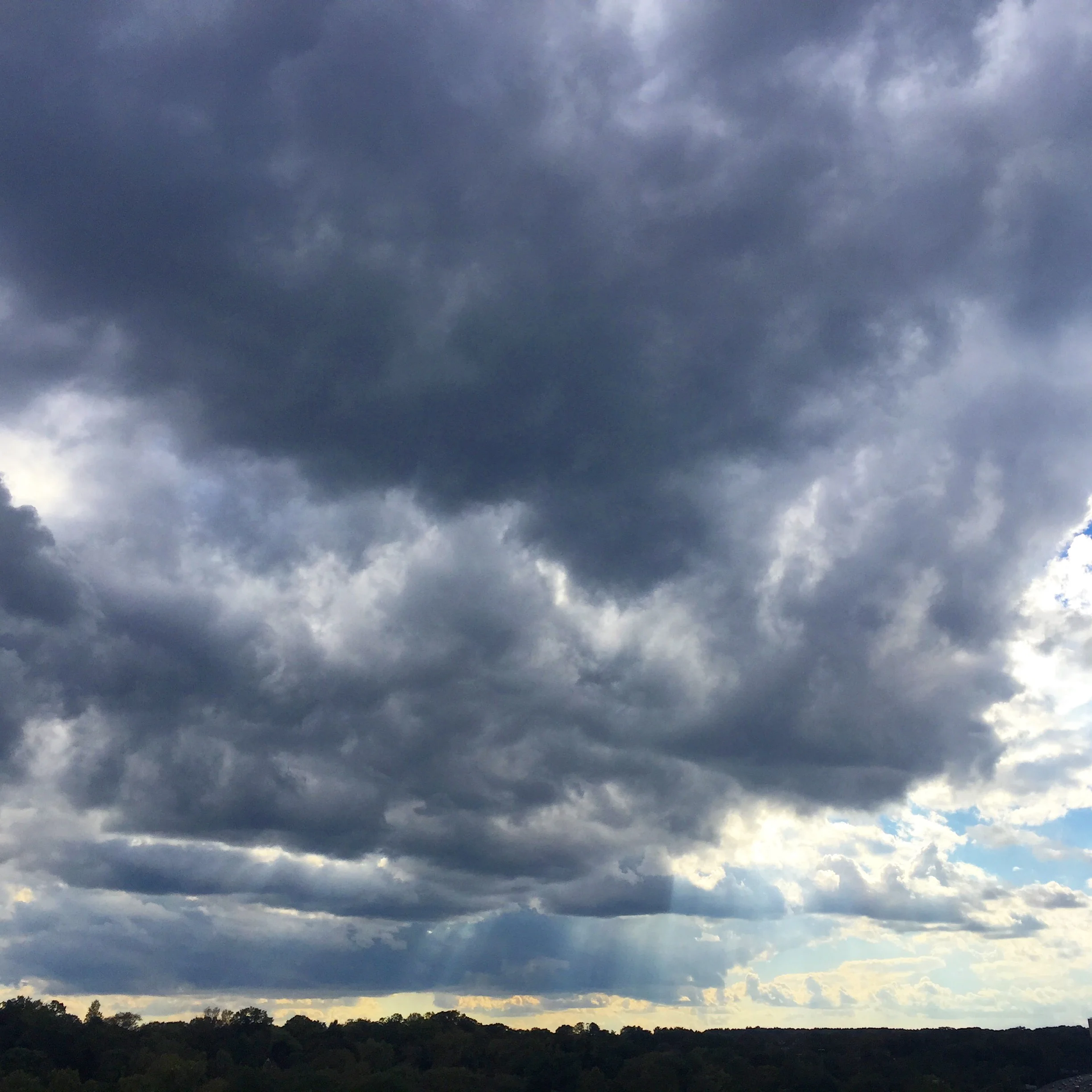 I will praise you in this storm.