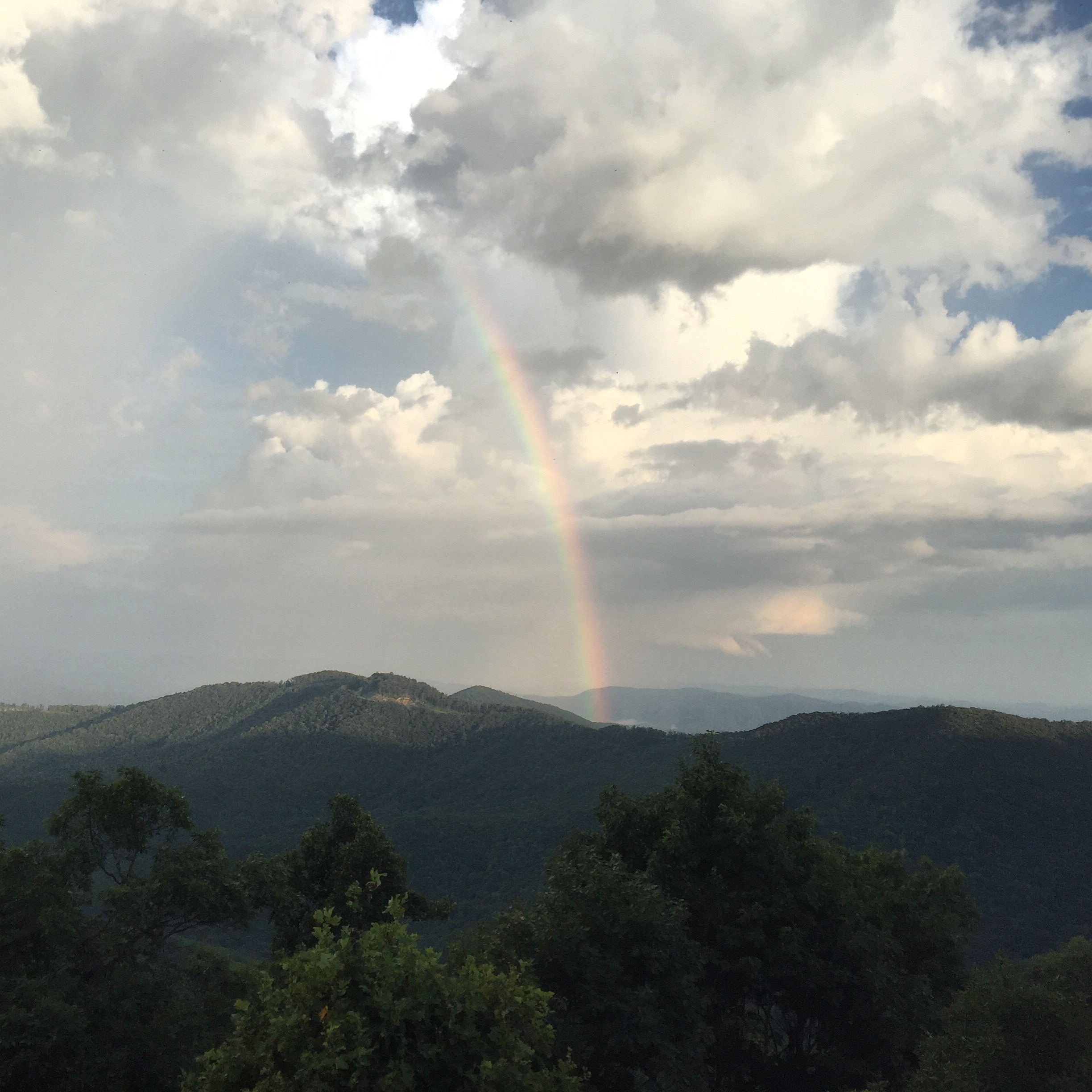 A love letter from the universe.