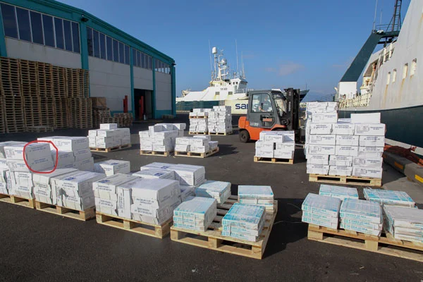 Research photo from Reykjavik harbour. Photo: Hulda Rós Gudnadóttir