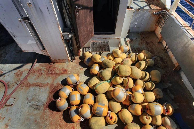 Research photo from Bildudalur, Iceland. Photo: Hulda Rós Gudnadóttir