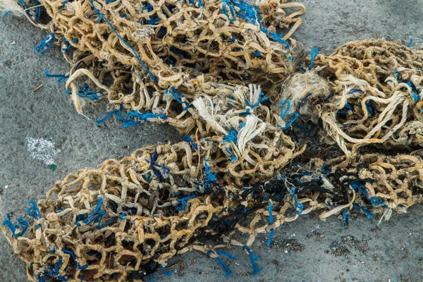 Research photograph from Essaouira, Morocco. Photo: Hulda Rós Gudnadóttir