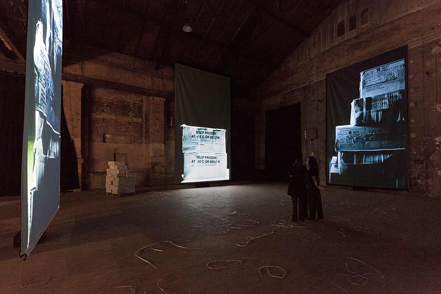 Installation view. Photo: dotgain