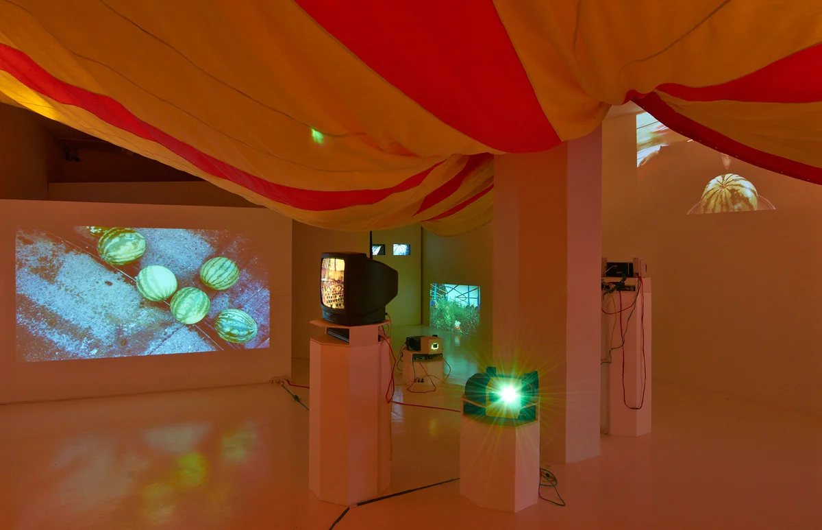 Installation view.