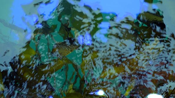 Still from 'Material Puffin'