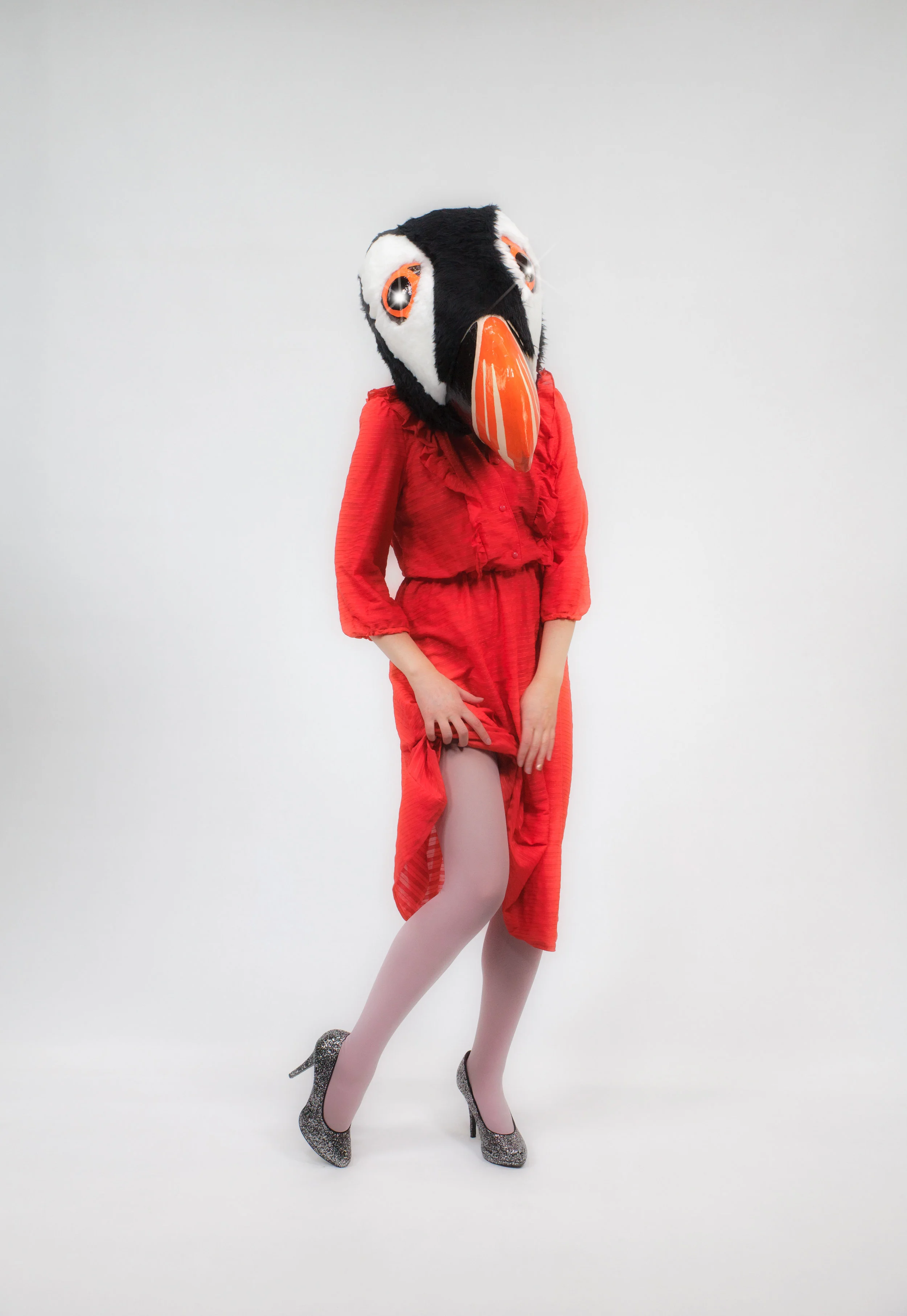Puffinloveweb_0023.jpg