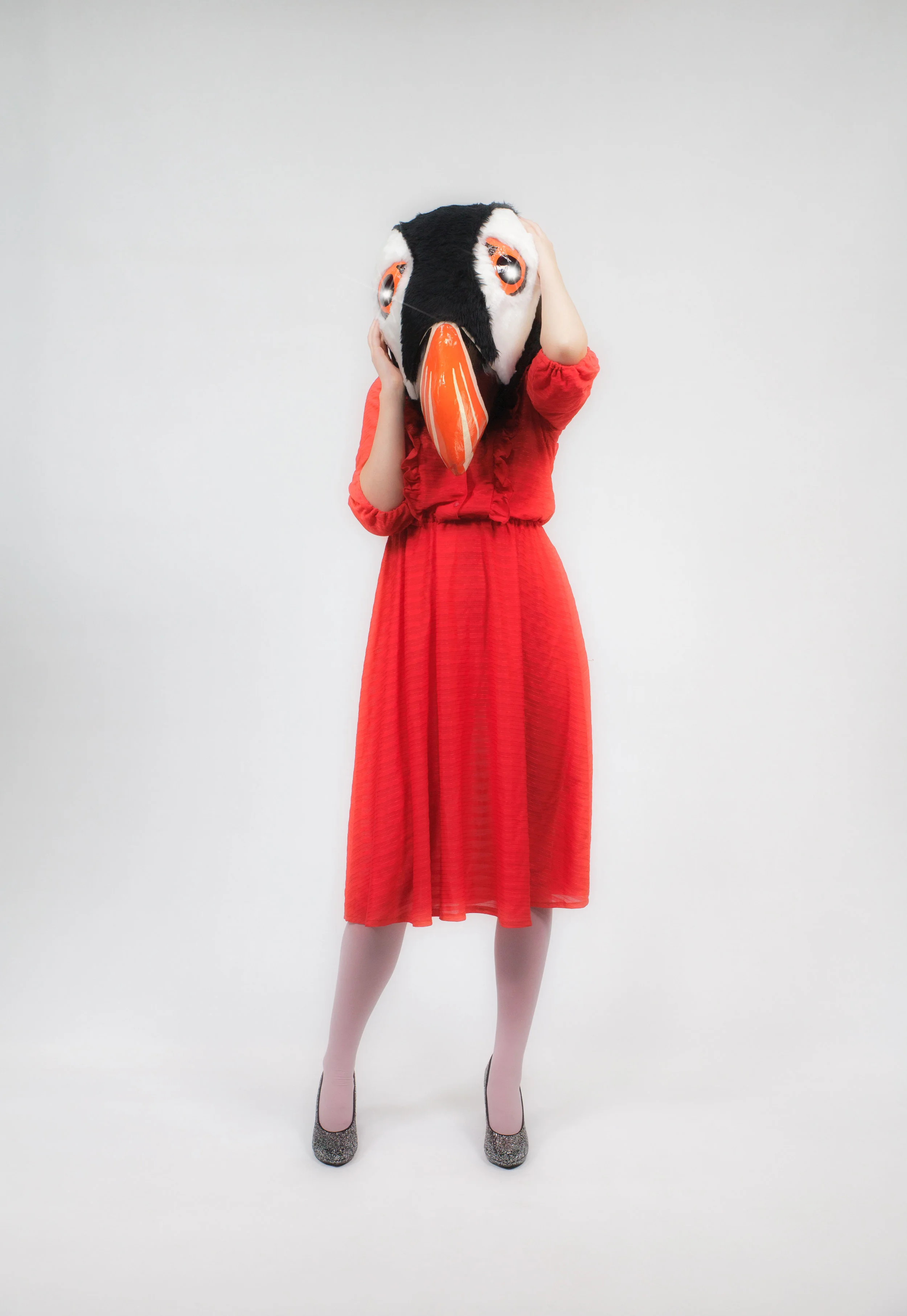 Puffinloveweb_0030.jpg