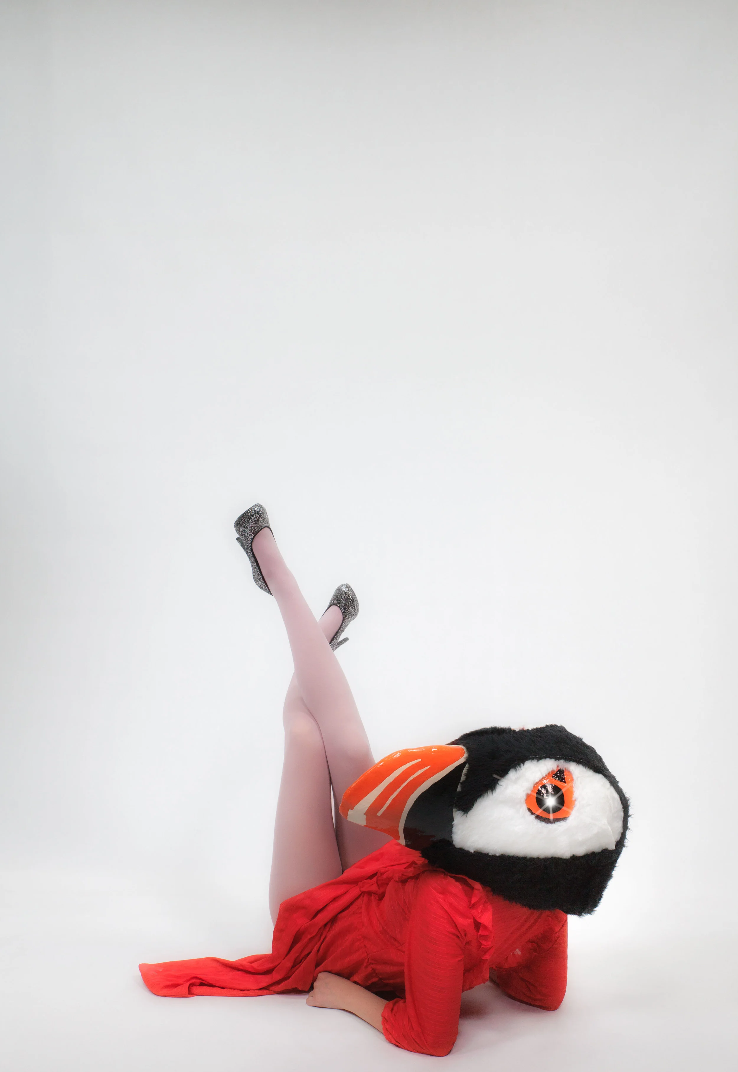 Puffinloveweb_0065.jpg