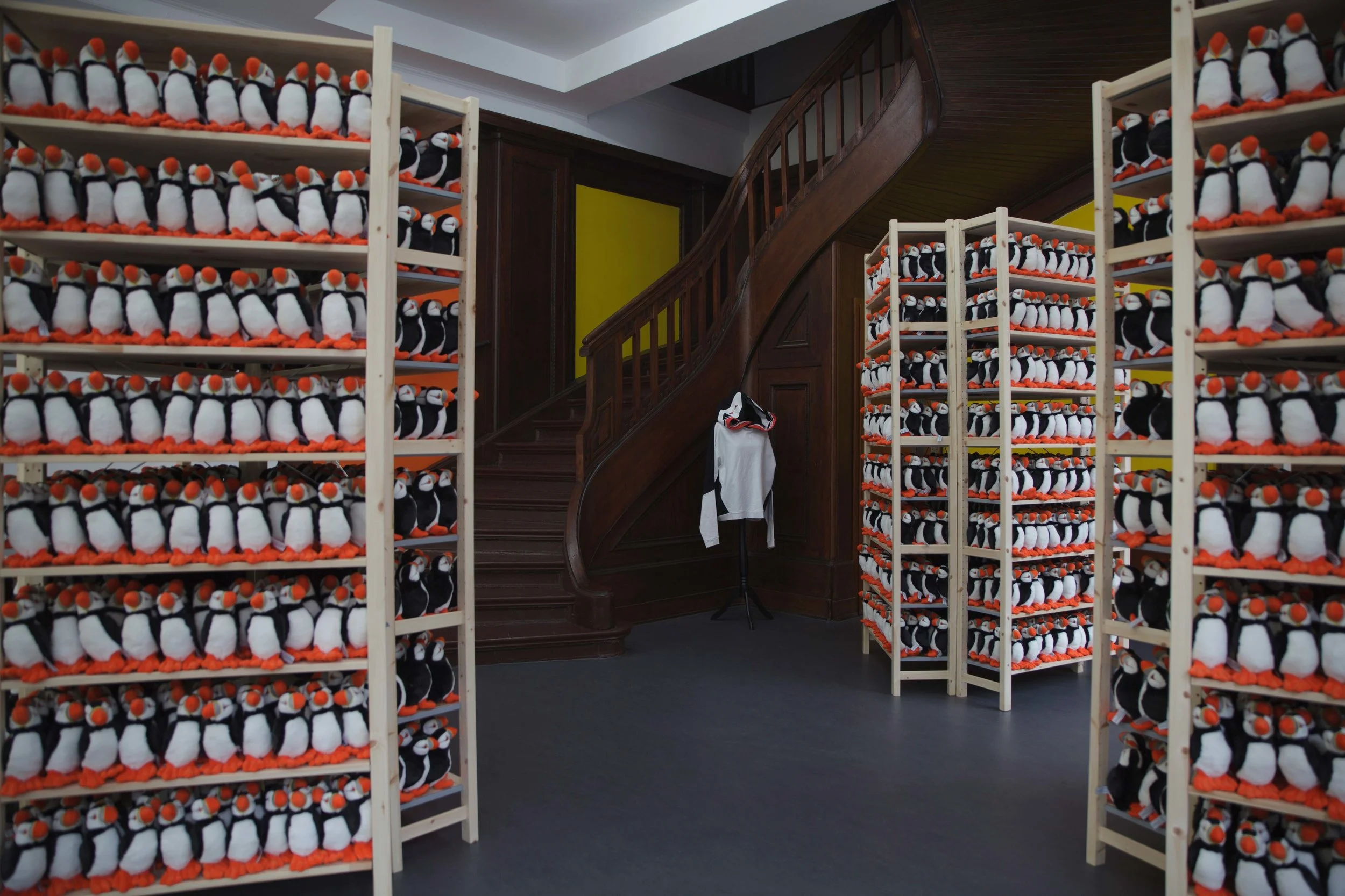 Installation view