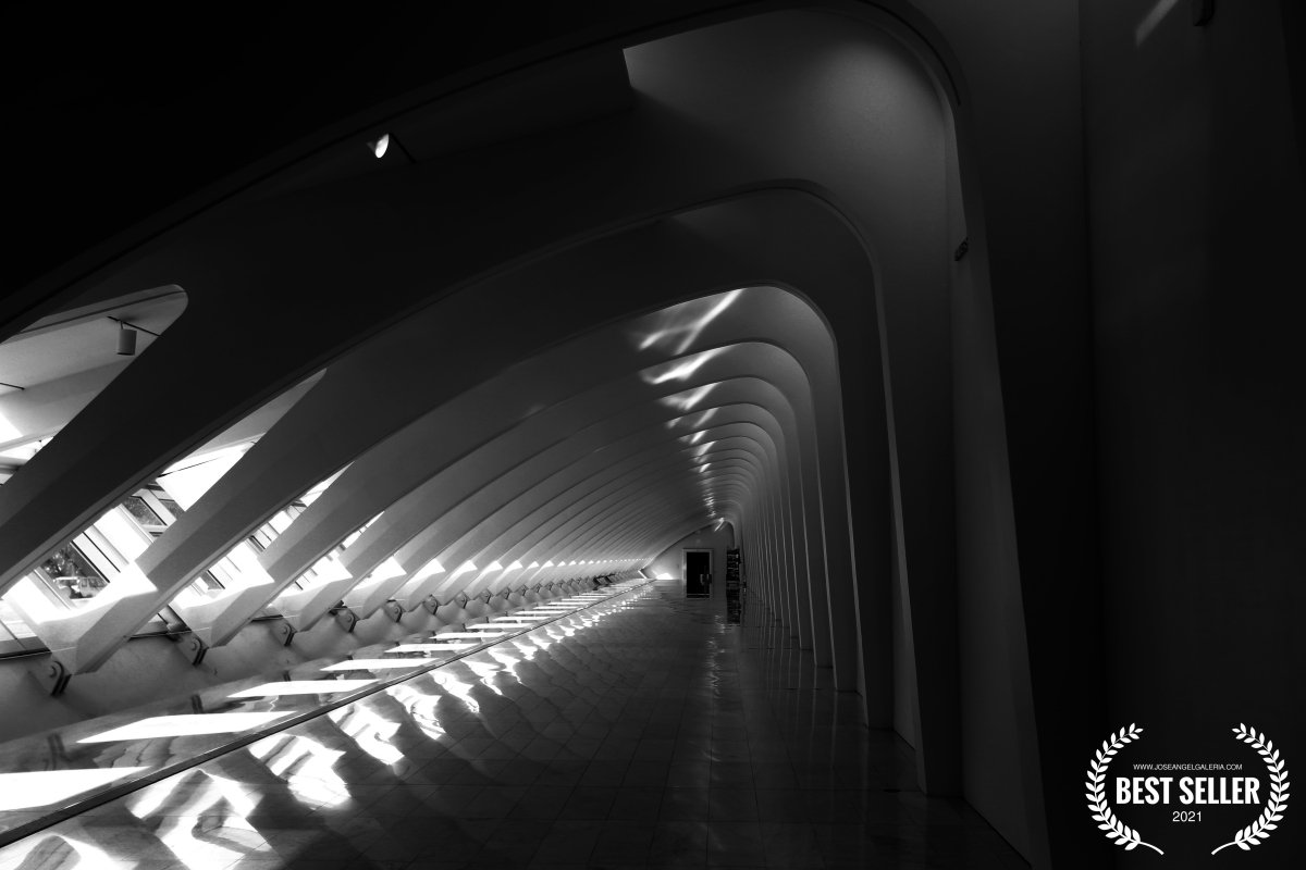   Milwaukee Art Museum  