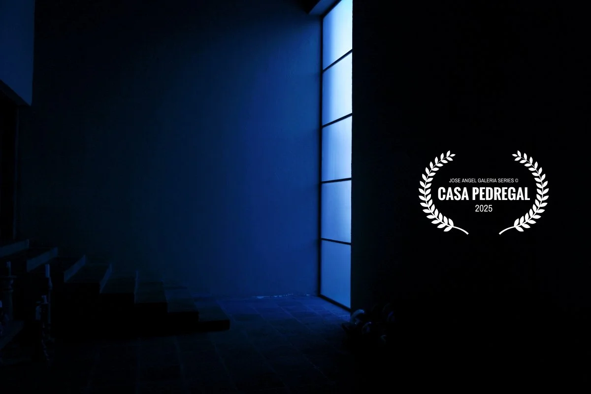 CasaPedregalJoseAngelFilms©.JPG