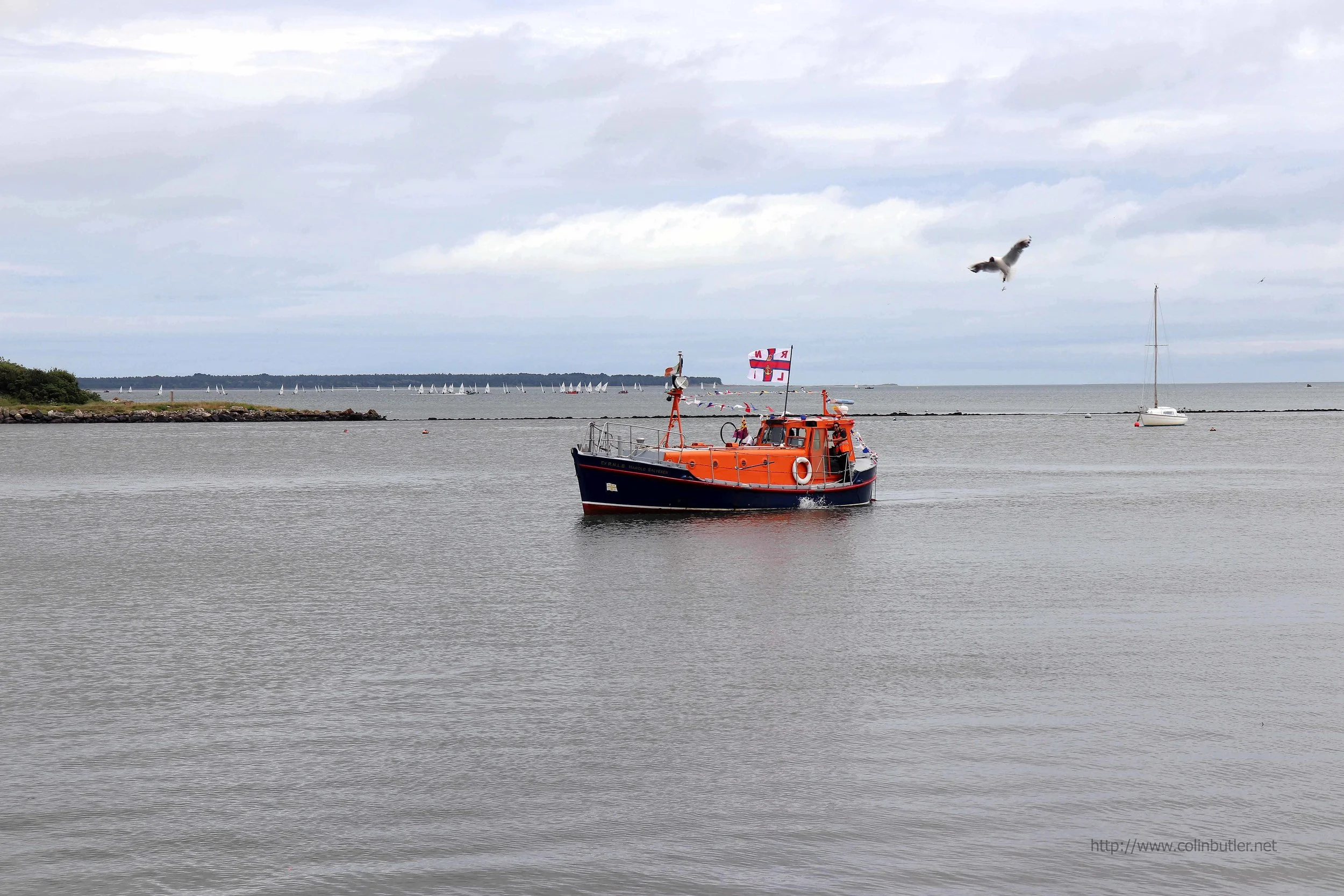 WexfordMaritimeFestival17003.jpg