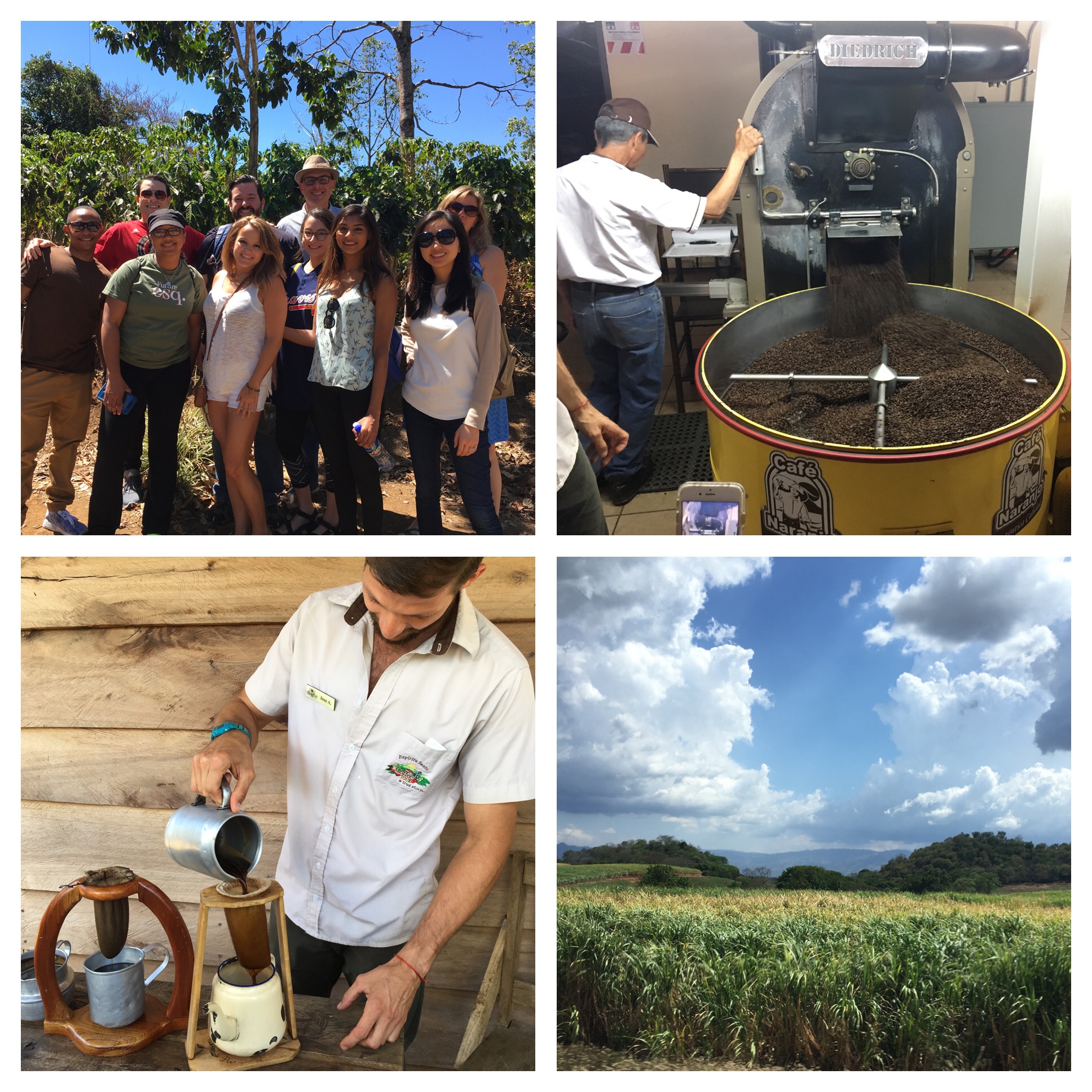 Visit to a coffee plantation and a scenic view en route.