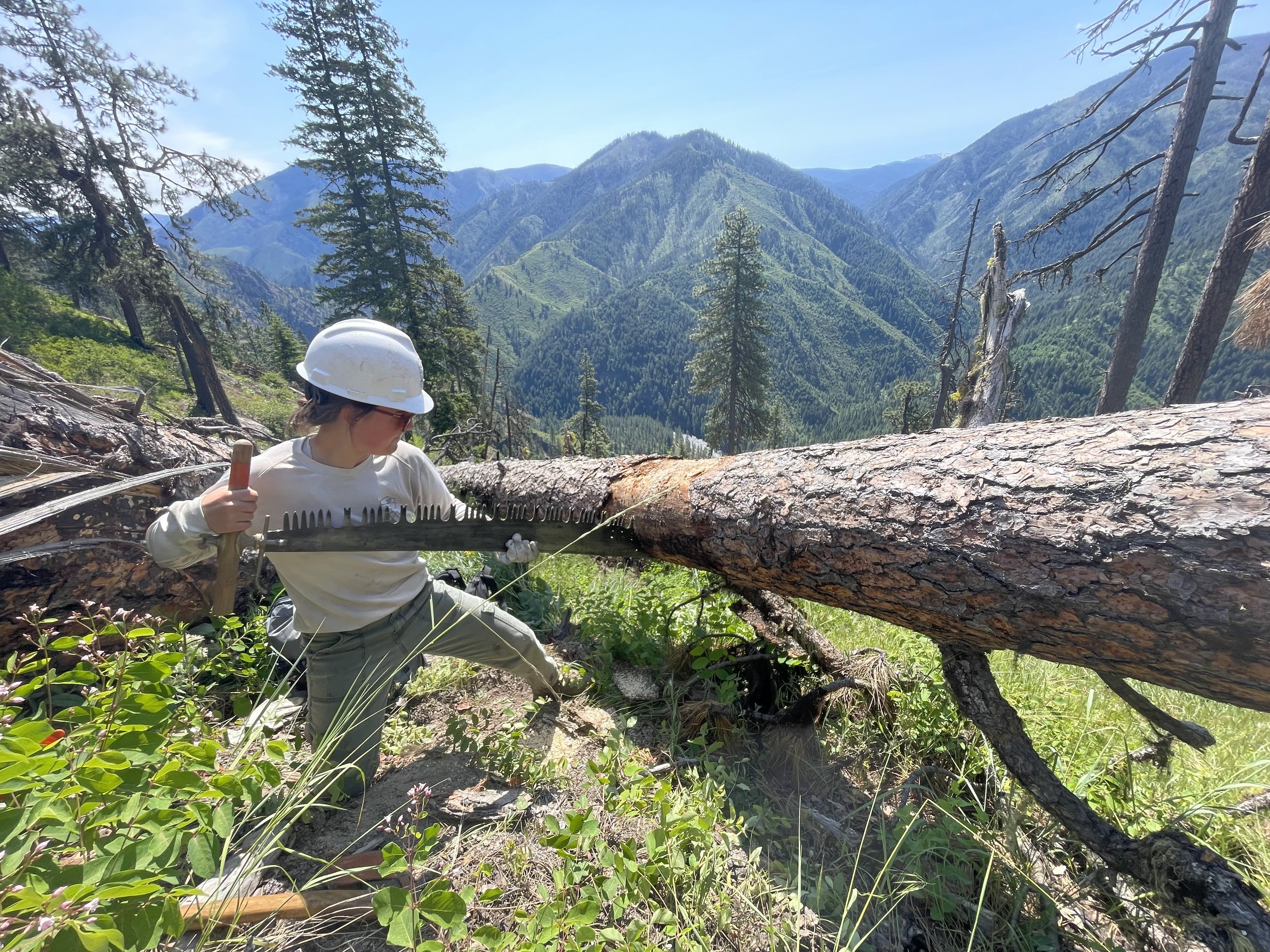 Emma sawing 2025.jpg