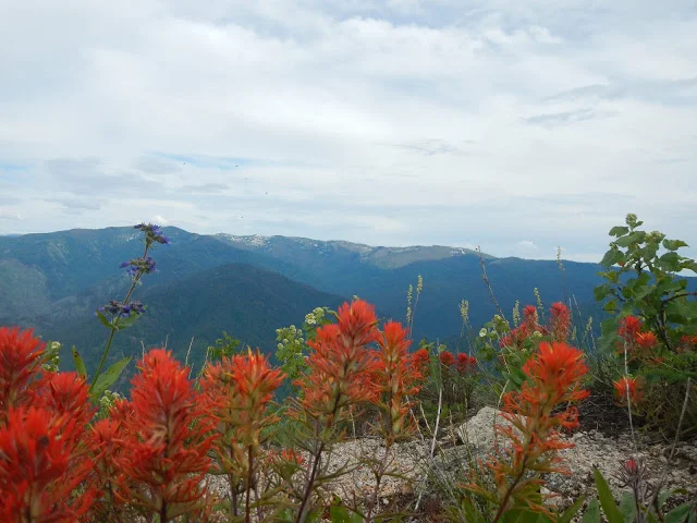 cnznf2012_sbaderphoto.jpg
