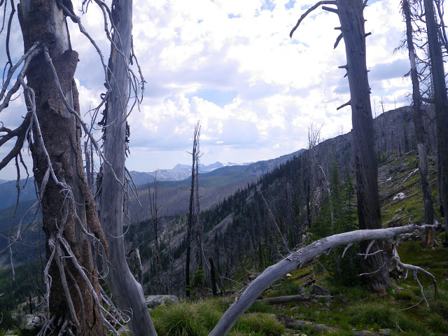 indianridge_westforkrangerdistrict2010_bnf.JPG