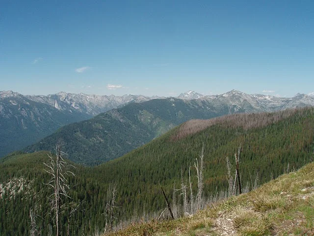 IndianRidge2010_WF_BNF_2.JPG