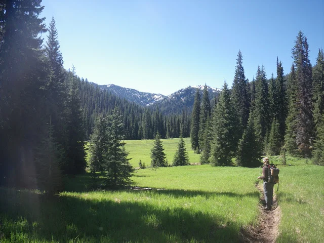 2010huckleberryflats_lochsaCNZNF_2.JPG
