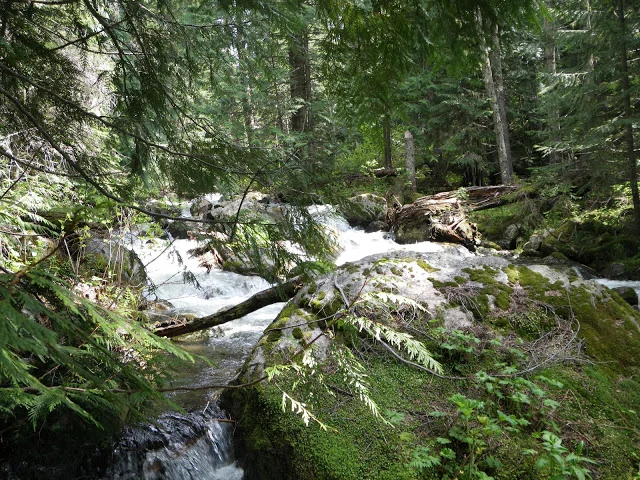 2010huckleberryflats_lochsaCNZNF_creek.JPG