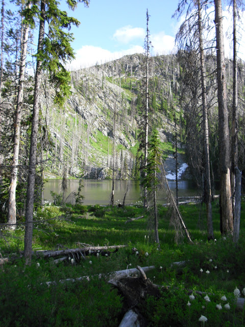 CIMG0538.jpg