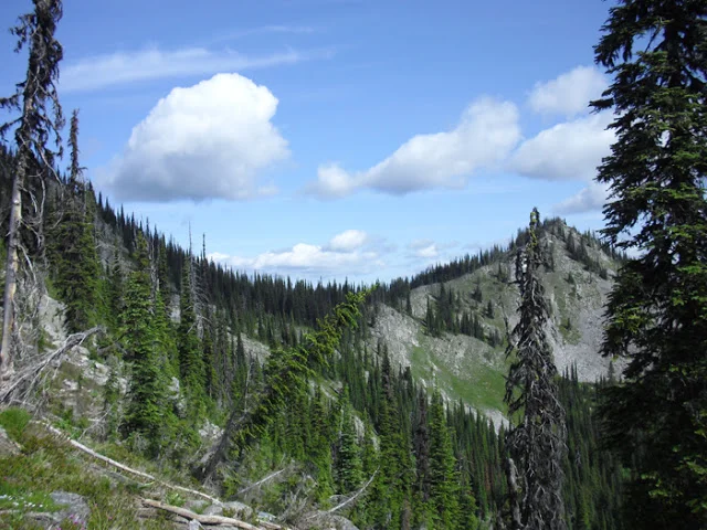 CIMG0548.jpg