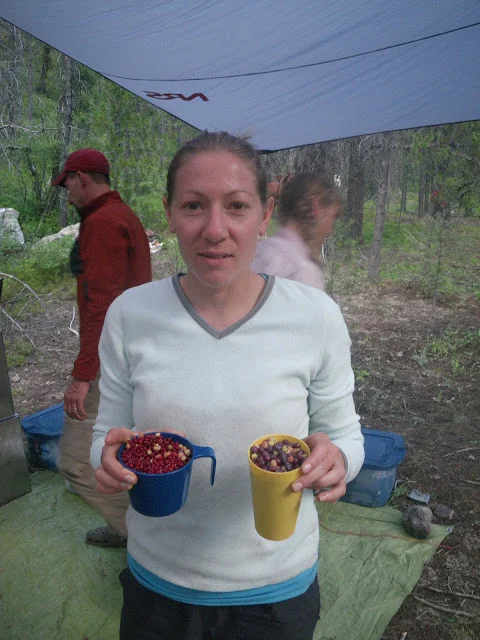 MarbleBerries2011.JPG