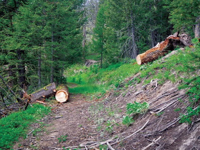 MarbleCreek_PNF_FCRoNR_Aug2011_SBFC.JPG