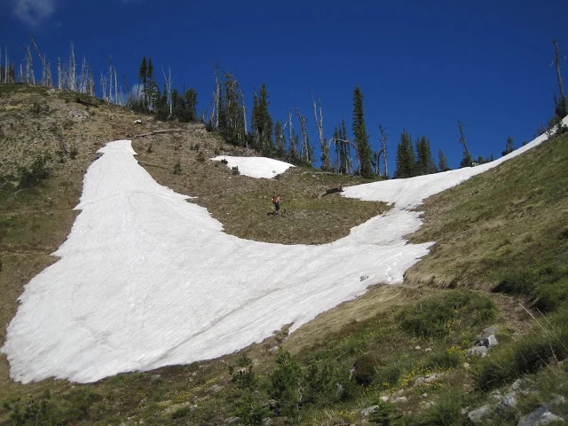 snowfield_IndianRidge2010_BNF.jpg