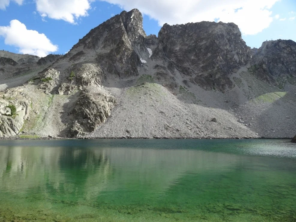 The wilderness called "The Frank."
