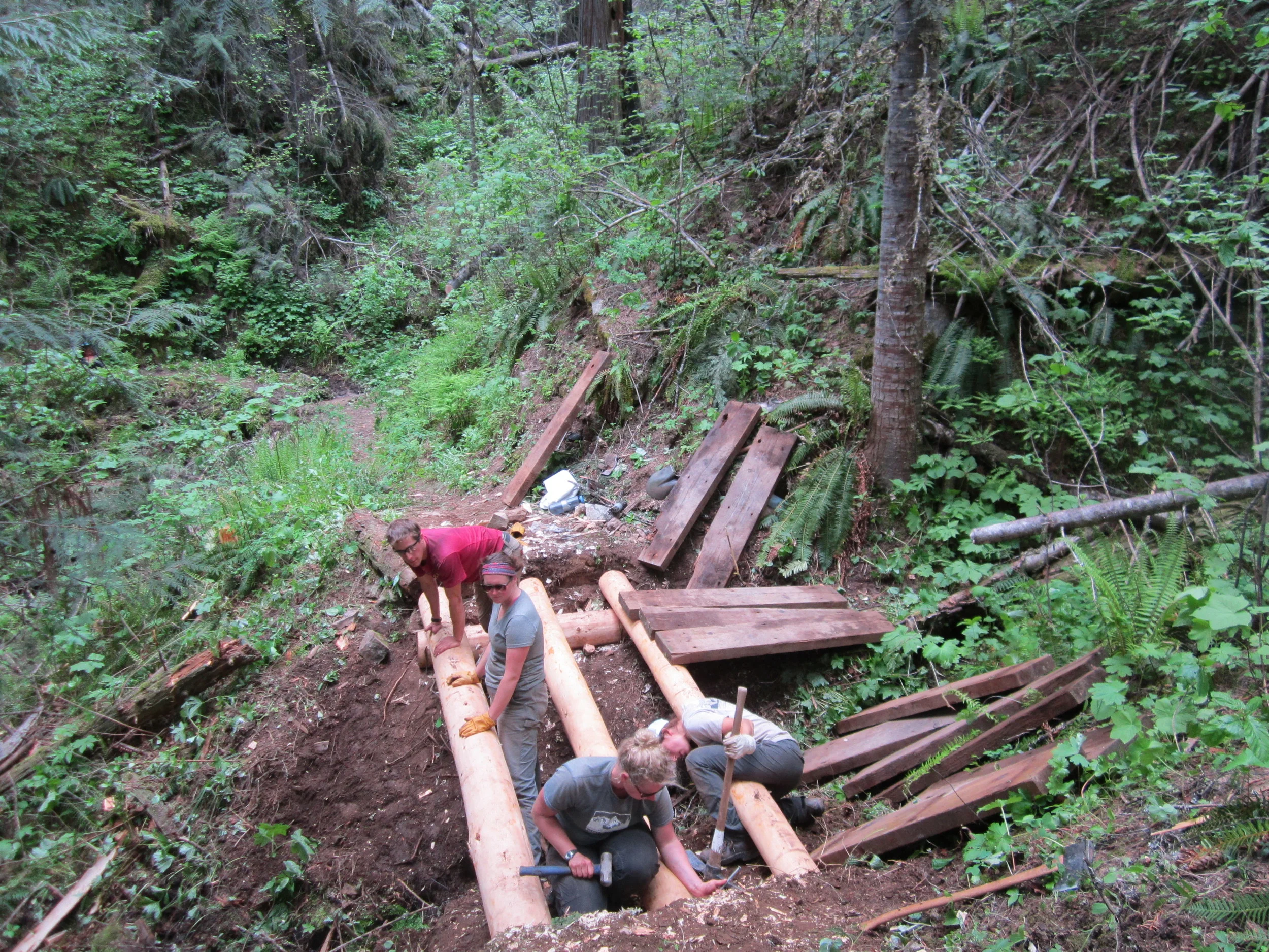 'Tis the Season for Training at SBFC
