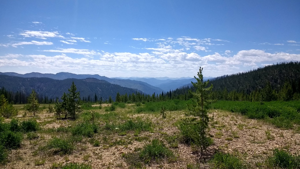 A view from the trailhead