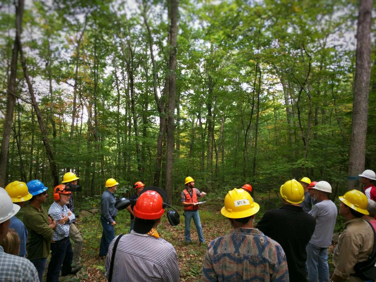 Back Forty Forestry, LLC