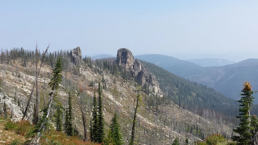 The Best of the Best- The Southwest Selway Bitterroot — Selway