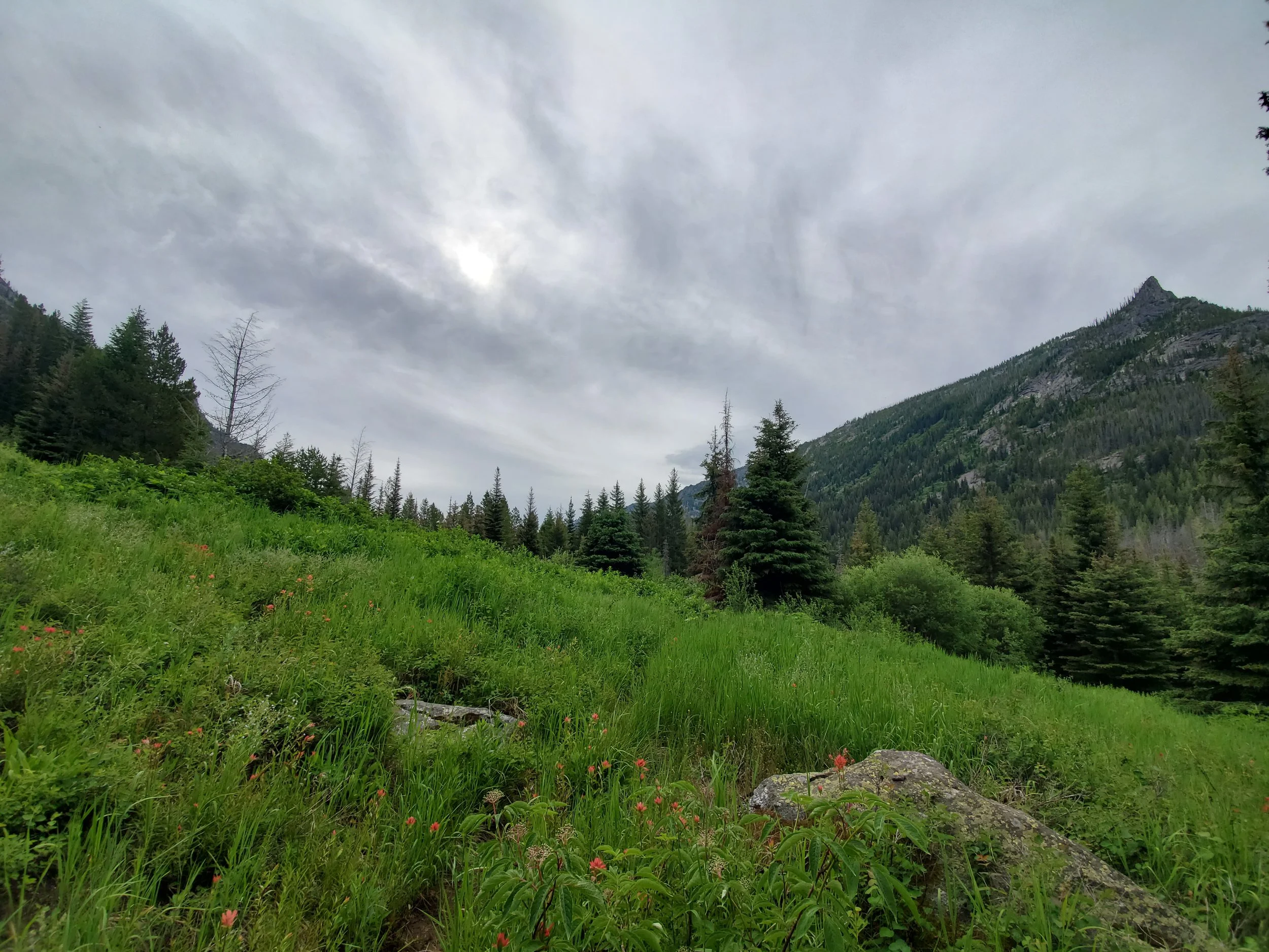 20190710_091701.jpg