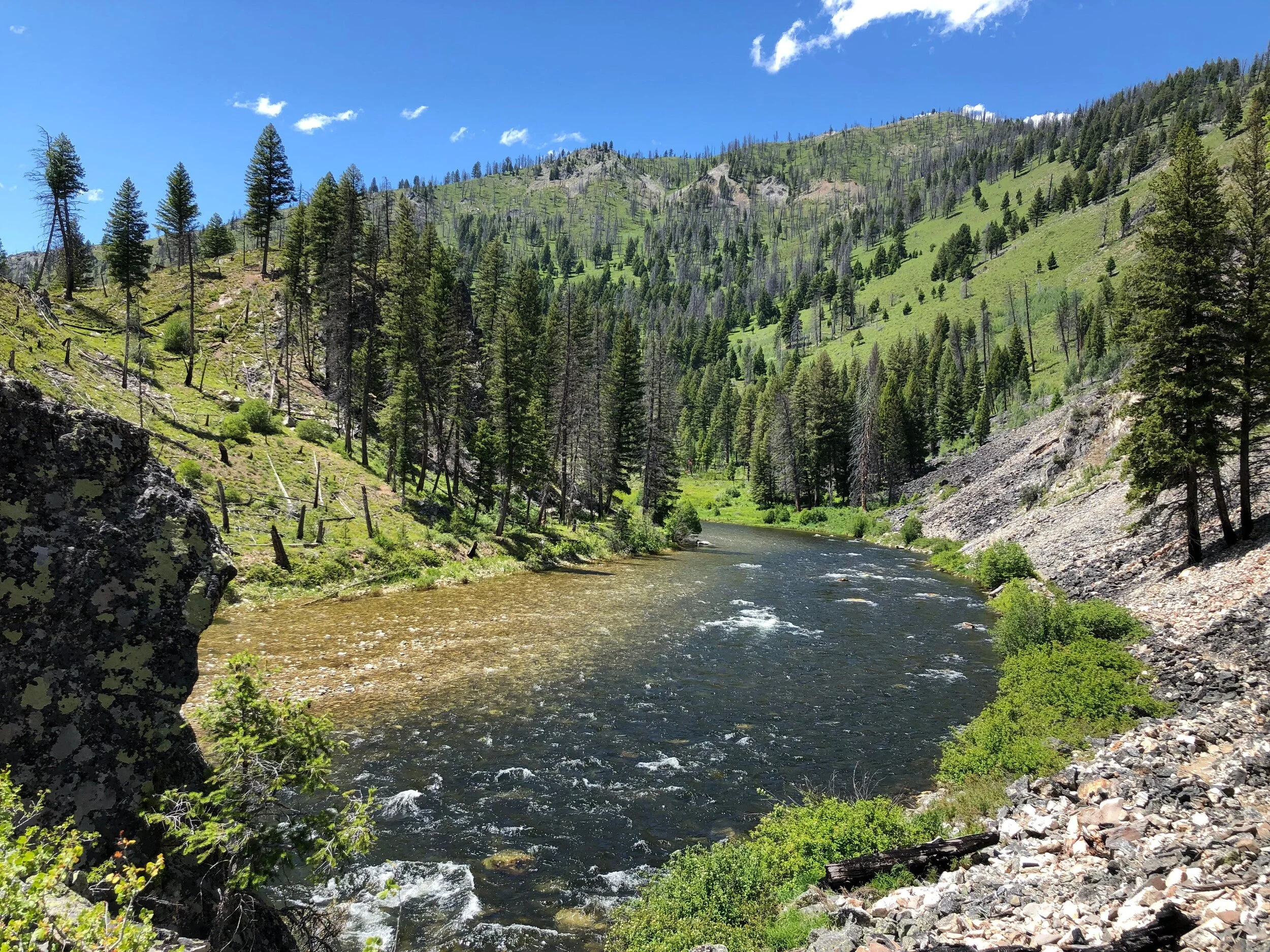 blue skies on middle fork.jpeg