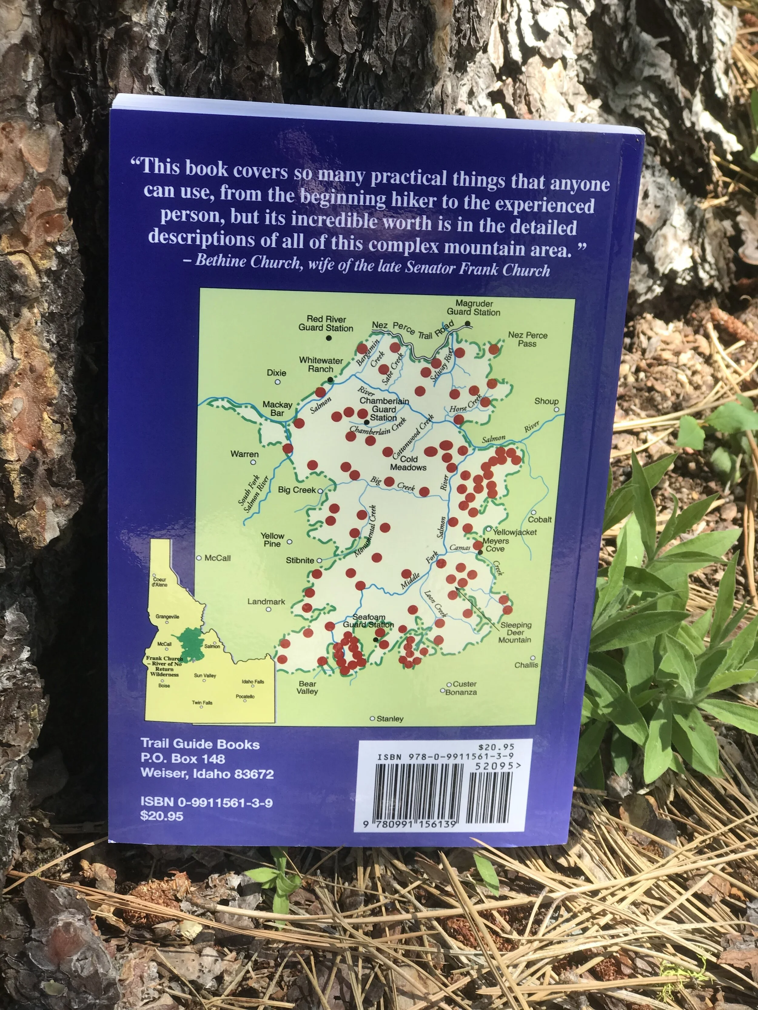 Fuller Book Back.jpg