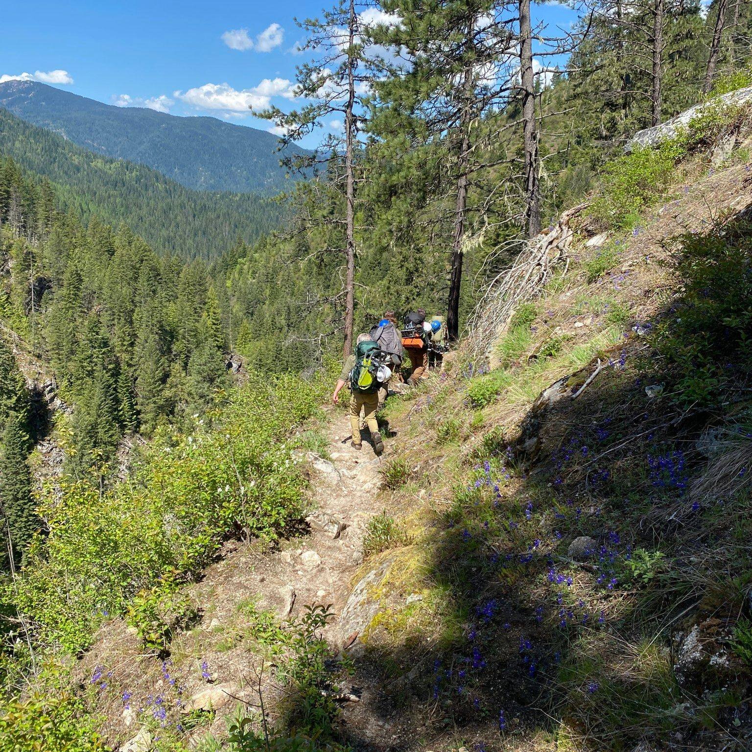 It's finally time! SBFC seasonal staff and Wilderness Ranger Fellows have arrived and are deep in their training for a season of wilderness work in the Selway and the Frank! We are excited to have folks joining us from all over the country and look f