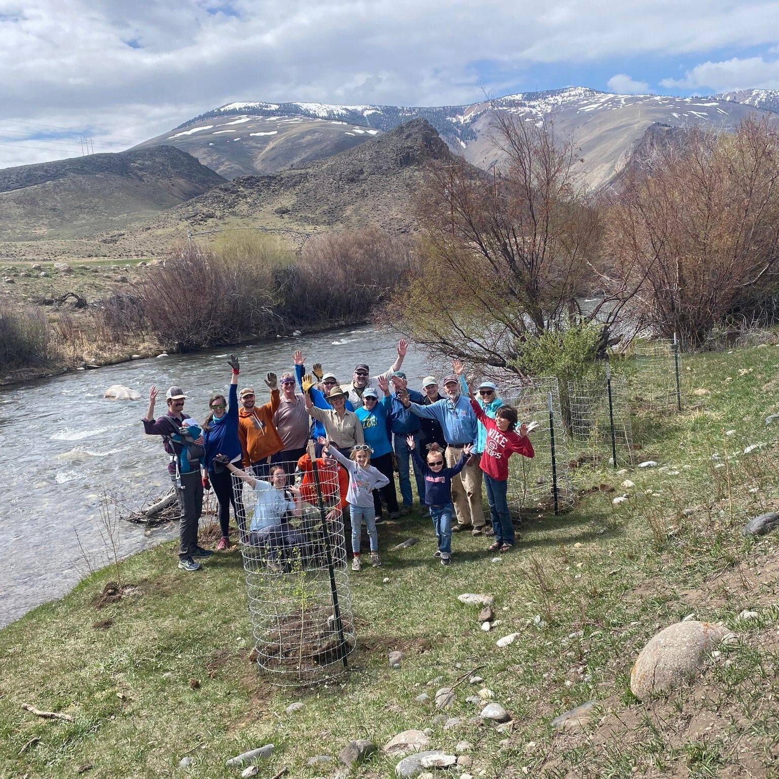 SBFC Board Members, staff, family, and friends had a great time volunteering at the @whitecloudspreserve last weekend! Volunteers planted native trees along the banks of the East Fork of the Salmon River, helping with bank stabilization, sedimentatio