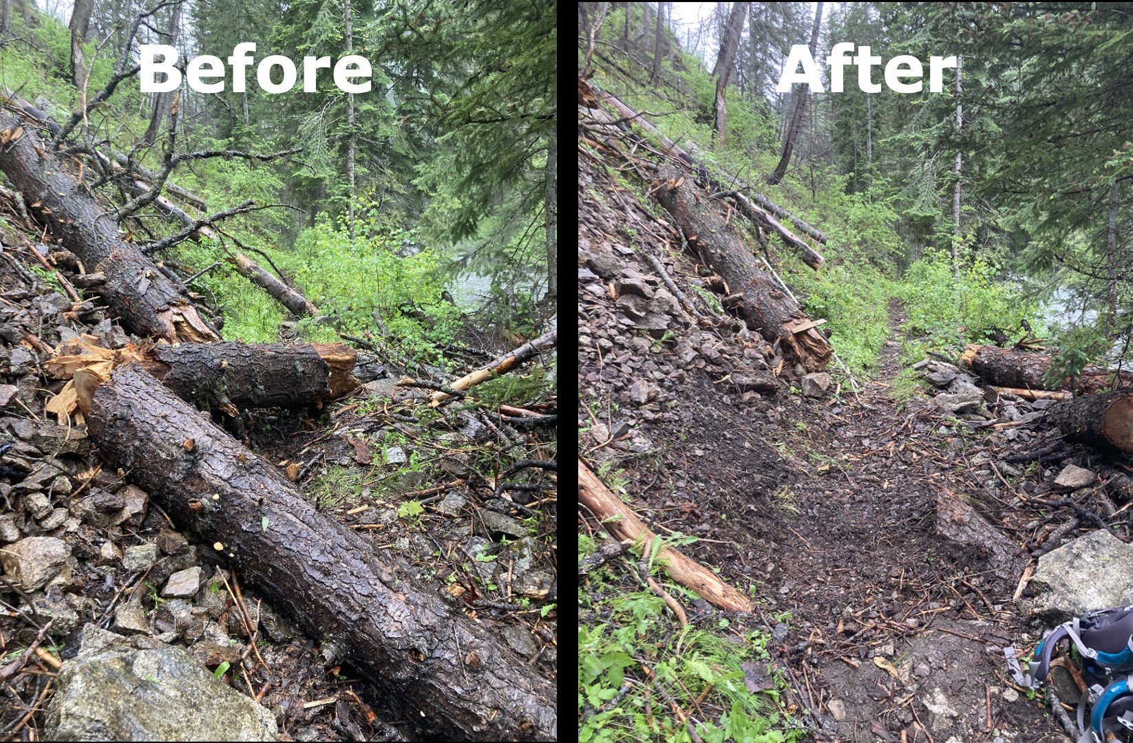   Before and after sawing on the #4 trail of the upper Selway, Bitterroot NF, Frank Church Wilderness, photo by Ian Harris  