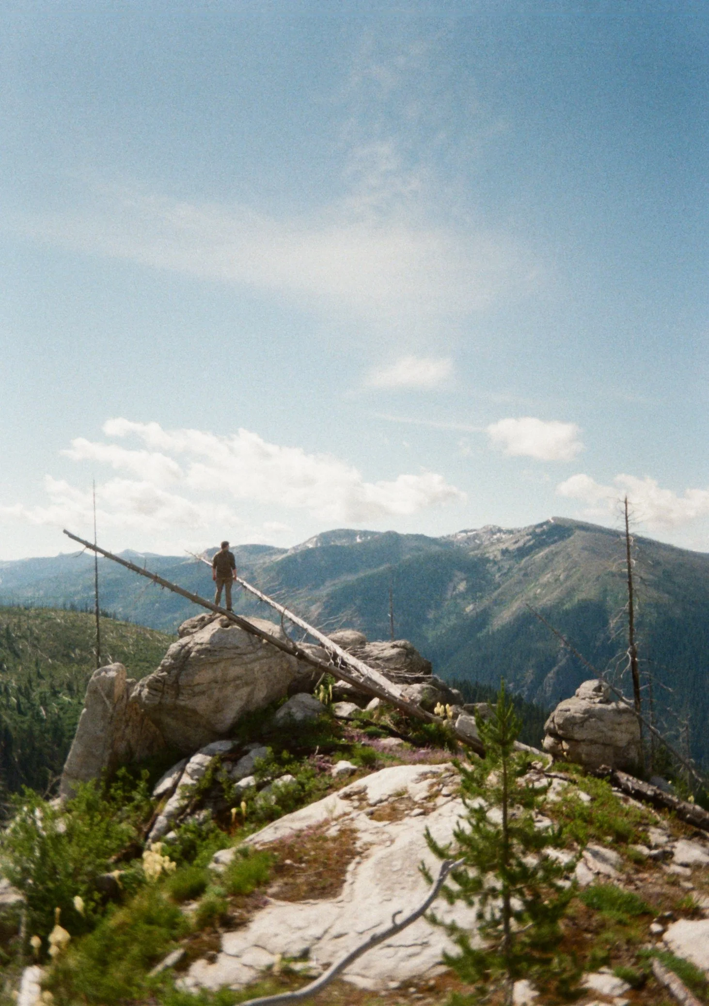  Abe Wilkinson taking in Moose Creek Valley in the Selway Bitterroot Wilderness (Tr #486). 