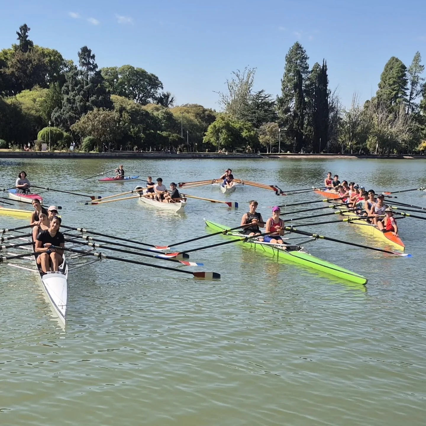 rowing1.jpg
