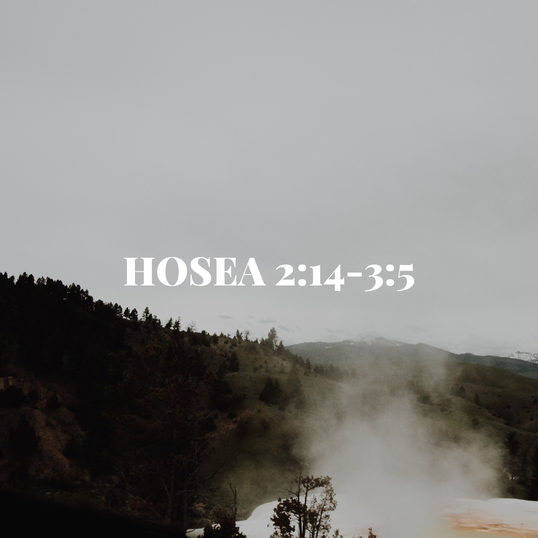 TUESDAY DECEMBER 11: Here we have the big turn. God has already said He will punish Israel, but He doesn't smack them down or burn them for eternity. Instead, God says He "will allure" Israel and bring it back into the days of its original relationship with him. As you can tell from verses 18-20, God wants a peaceful, harmonious relationship with Israel where there is no war, no pain, and no evil. This is what God longs for with humans: a covenant relationship of mutual love and honor, one of calm and peace, not the chaos that sin brings. God desperately wants this relationship with you, too. What's standing in the way? What chaos are you bringing into that relationship?