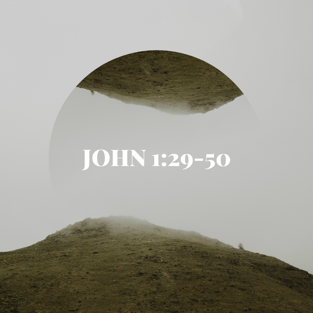 MONDAY DECEMBER 17: "The Lamb of God" is a reference to the part of the Bible known as the Torah, or Law. This is where God set up a way that the Israelites could absolve themselves of sin by sacrificing animals, particularly lambs, to cover up their wrongdoing. When John calls Jesus "The Lamb of God, who takes away the sin of the world," he's telling us that Jesus has come to do exactly that: remove sin from our lives. This not only hints at Christ's ultimate sacrifice on the cross, but also on the absolution that Jesus brings. We are no longer under the power of sin, but we can choose to trust God's definitions of good and evil because we are empowered to follow Jesus, just like he invites us to do.