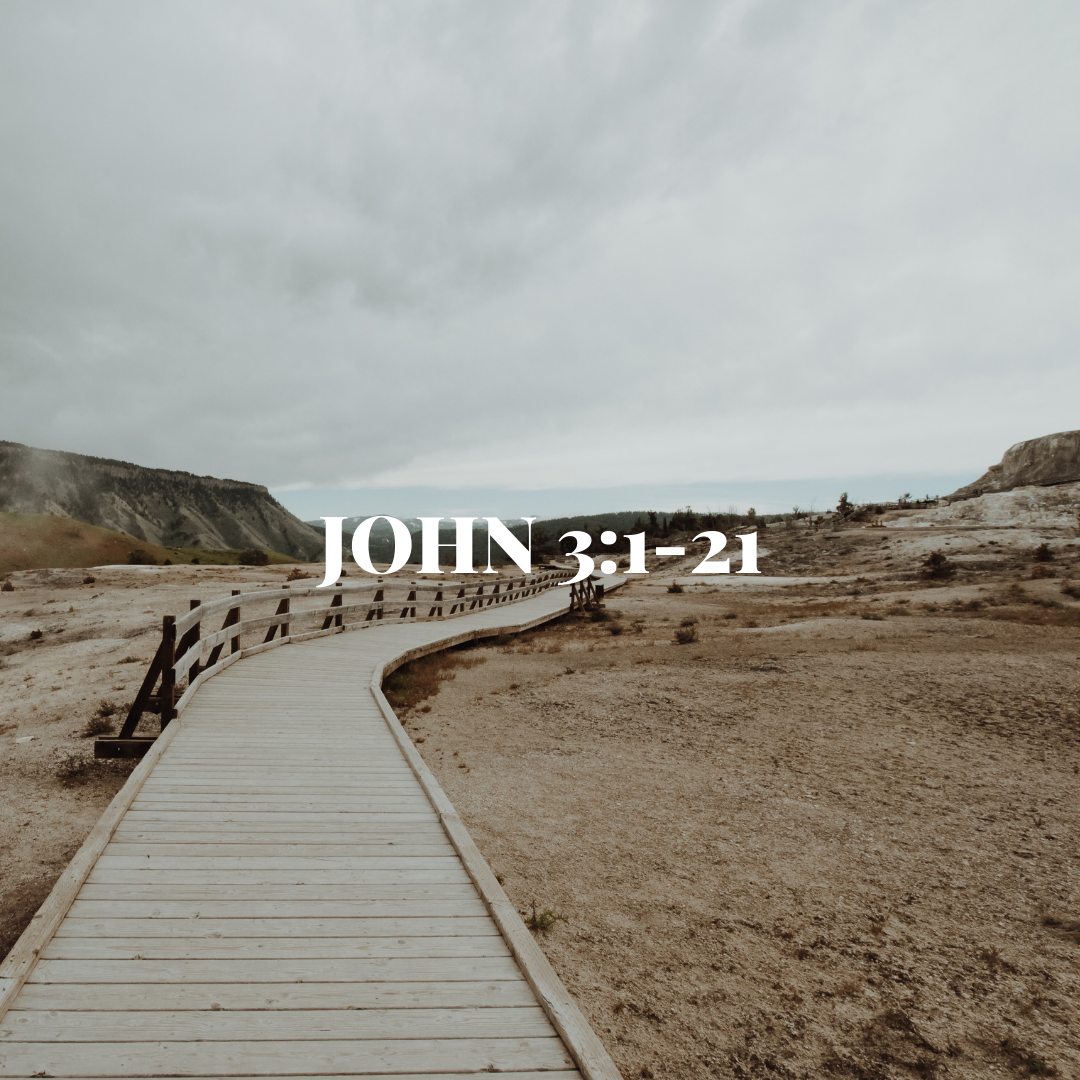 WEDNESDAY DECEMBER 19: This passage contains the most famous verse in the entire Bible (3:16), but it's jam packed with so much more. Jesus goes straight for the jugular here. He says that in order to be a part of God's restoration (the "kingdom"), you have to go all the way back to the beginning and start over (be "born again") with a whole new perspective on life and a whole new course of actions. It's not some wayward sinner Jesus tells this to; he scandalously says this to one of Israel's most religious and holy people. This guy expects to be praised for his righteousness, but instead Jesus tells him that he needs to be saved, and that God's kingdom isn't just for this guy, or even just for the Jews, but for the whole world.