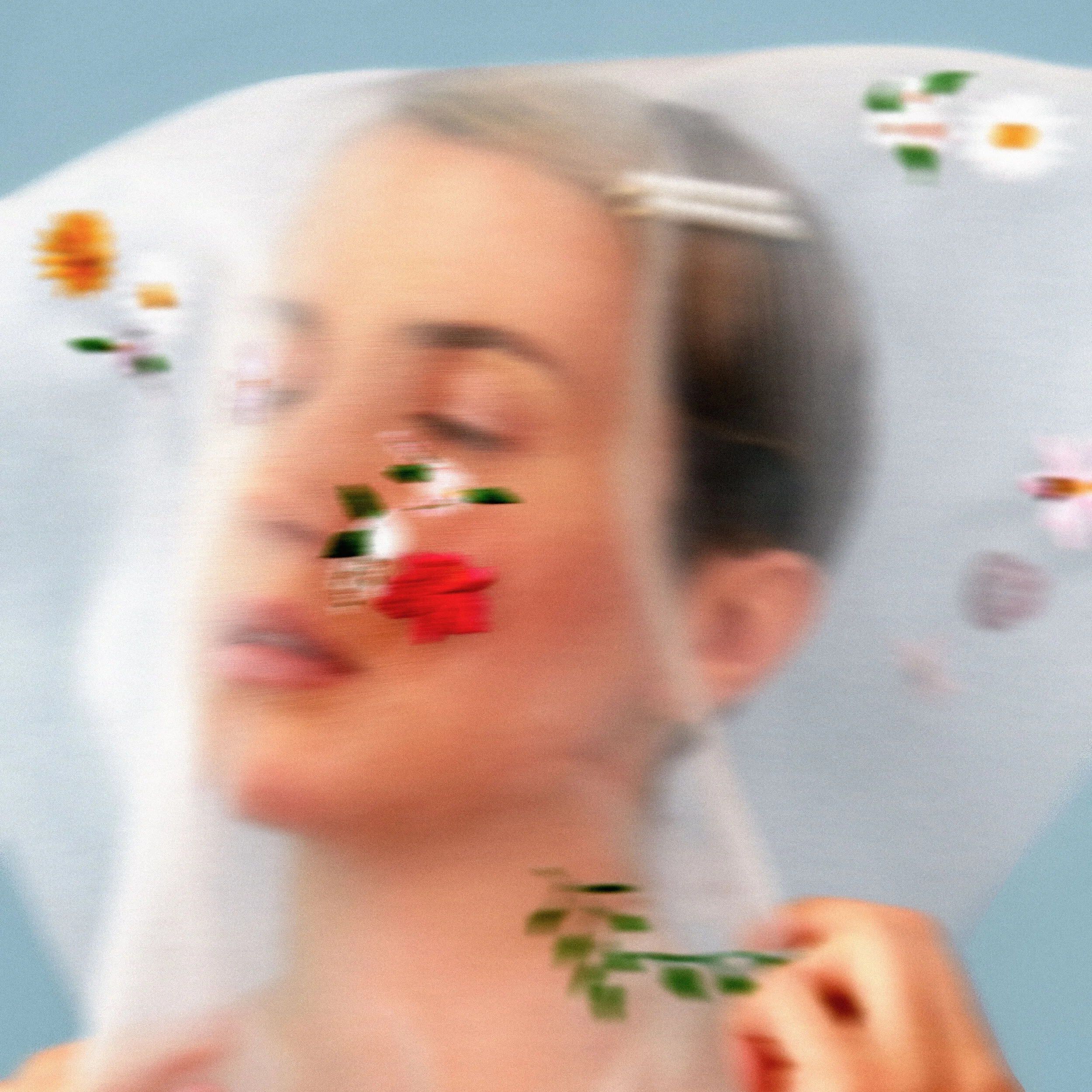 PPA-Veil-Cover.jpg