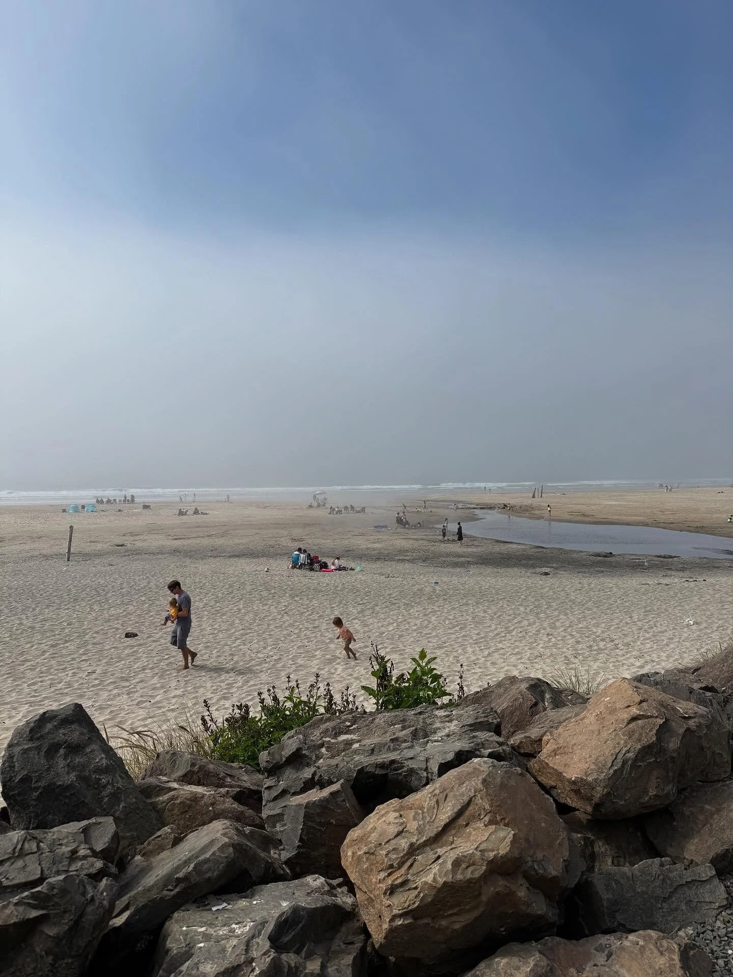 ⛅️😶‍🌫️😶‍🌫️🐕‍🦺😶‍🌫️😶‍🌫️⛅️