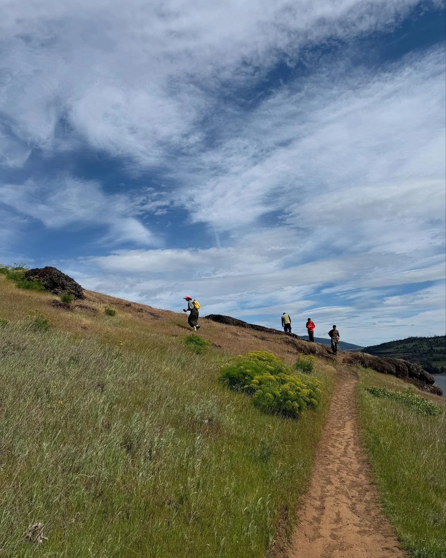 🌼🌾🔍⛰️ The gorge with @landdd_org @earth_studies_ @nwbotany !