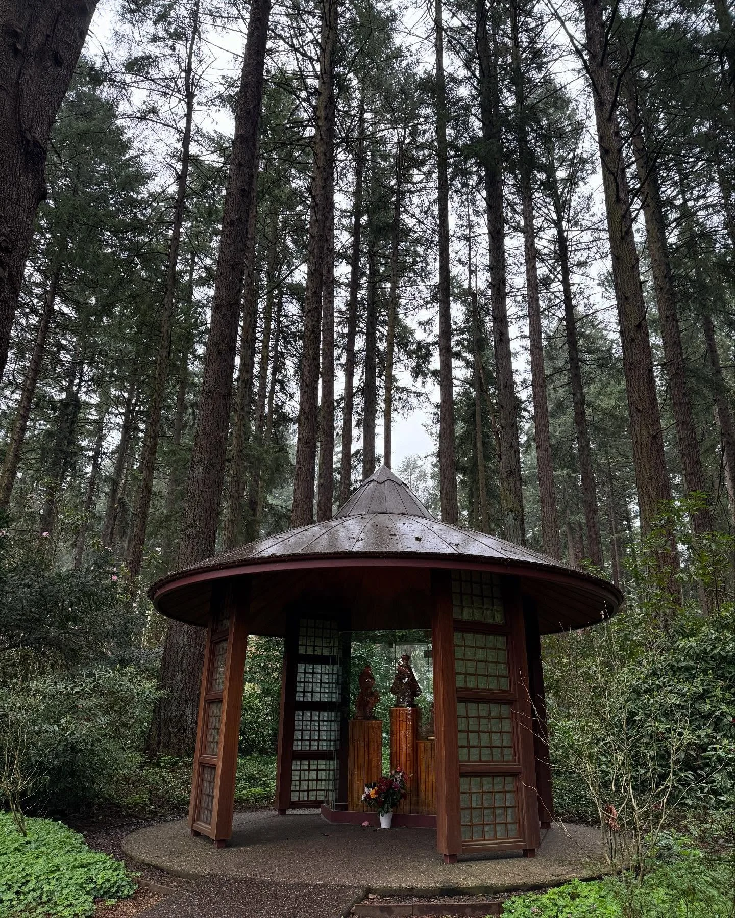 The Grotto! 🌲🛗🌸